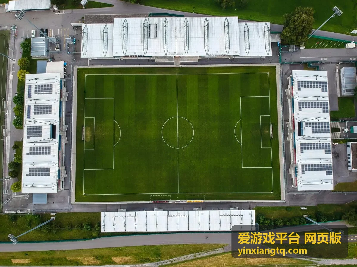 爱游戏平台网页版 新游老头环DLC开黑直播